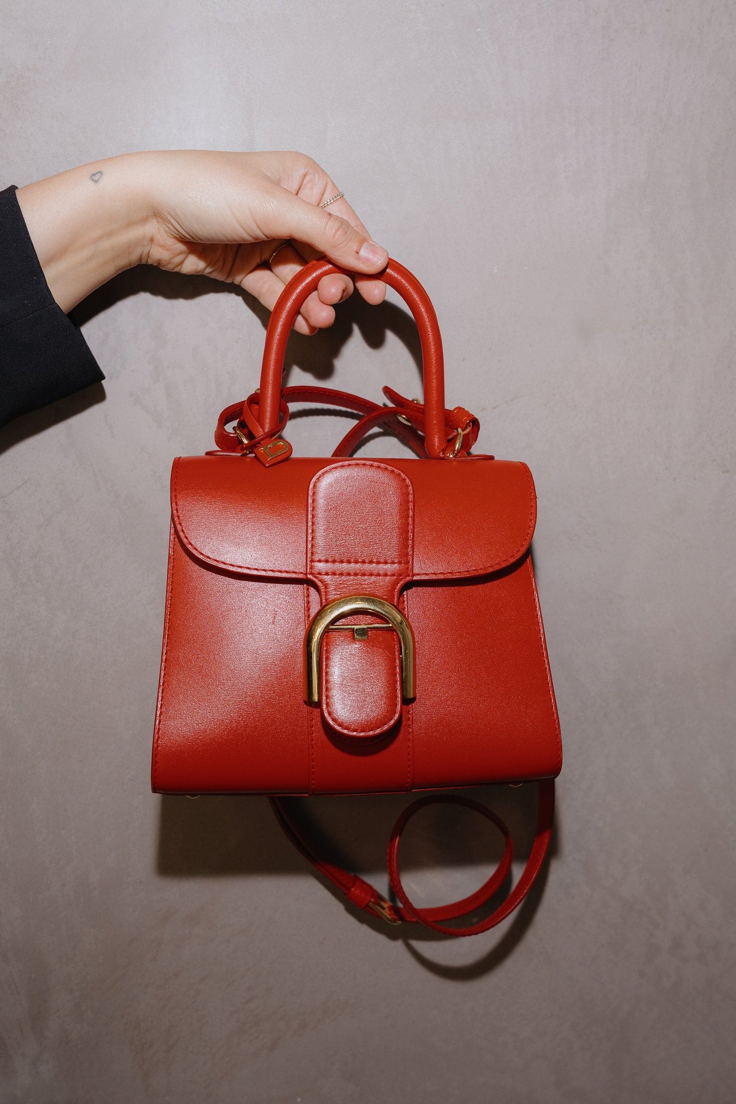 Delvaux Brillant Mini