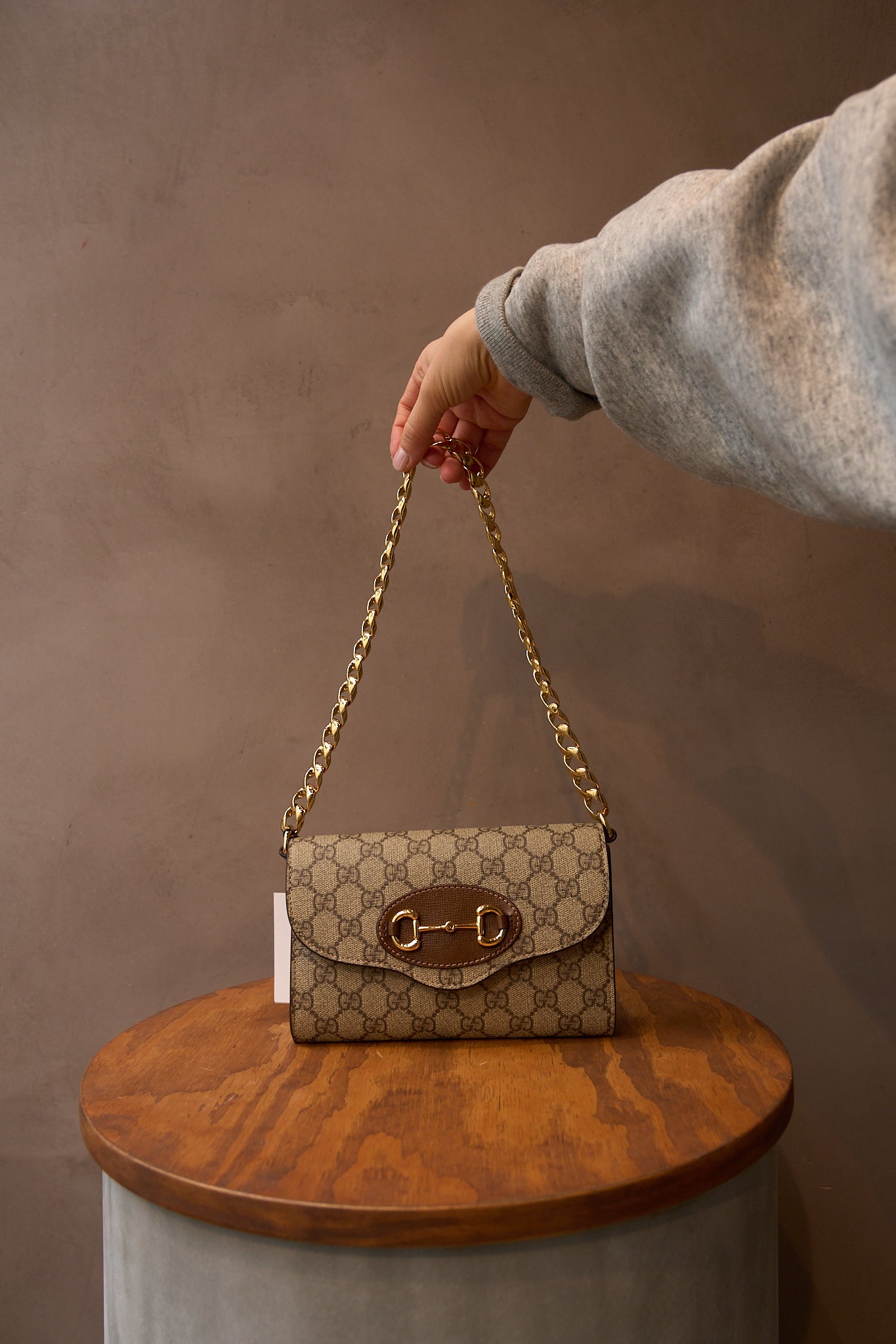 Gucci Horsebit 1955 Chain Bag