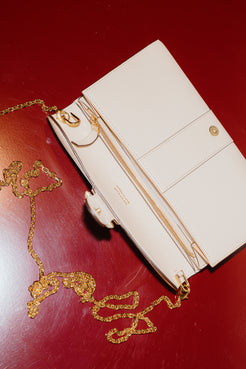 Delvaux Brillant Wallet On Chain in Soft Beige