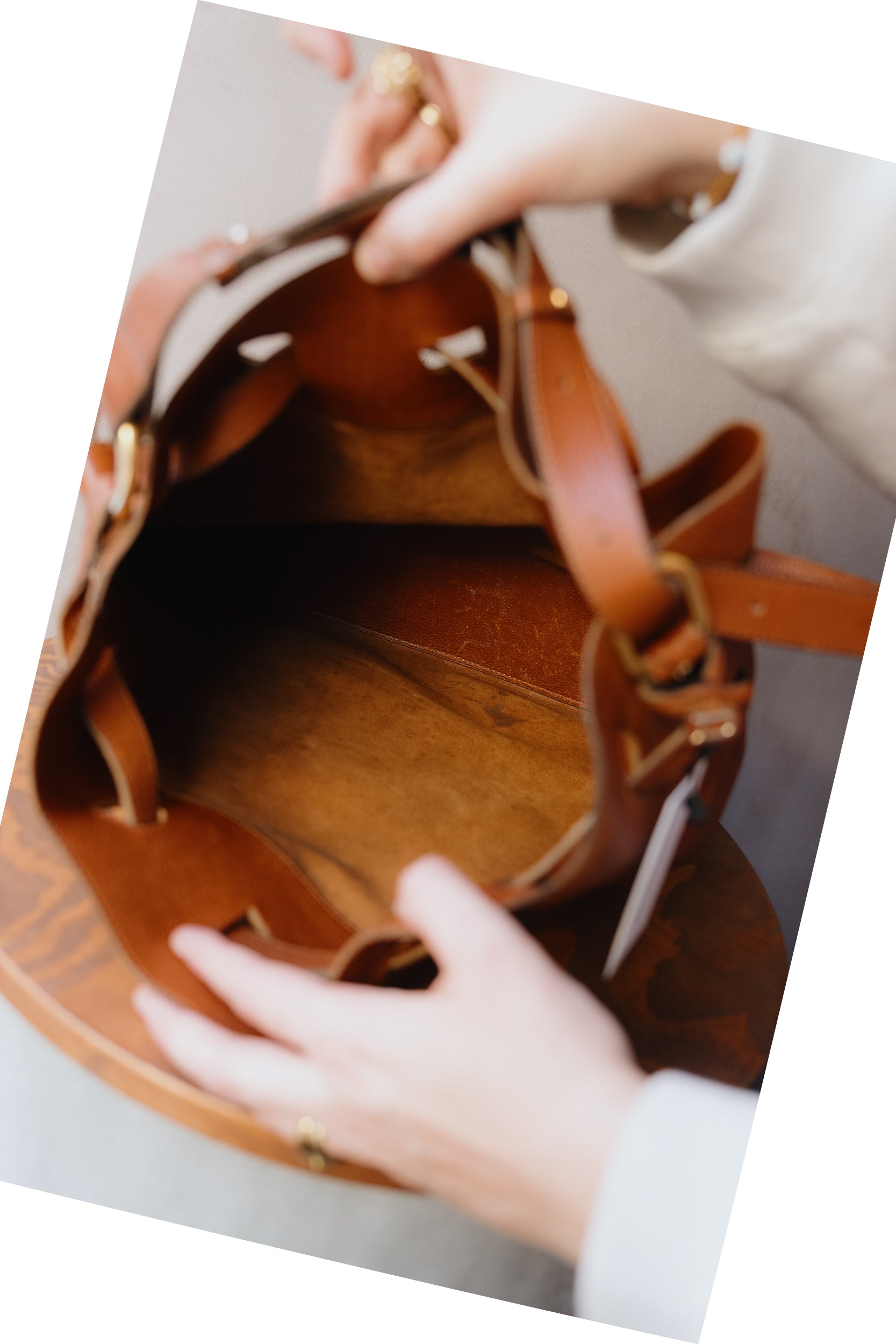 Delvaux Catogan Bag – Camel