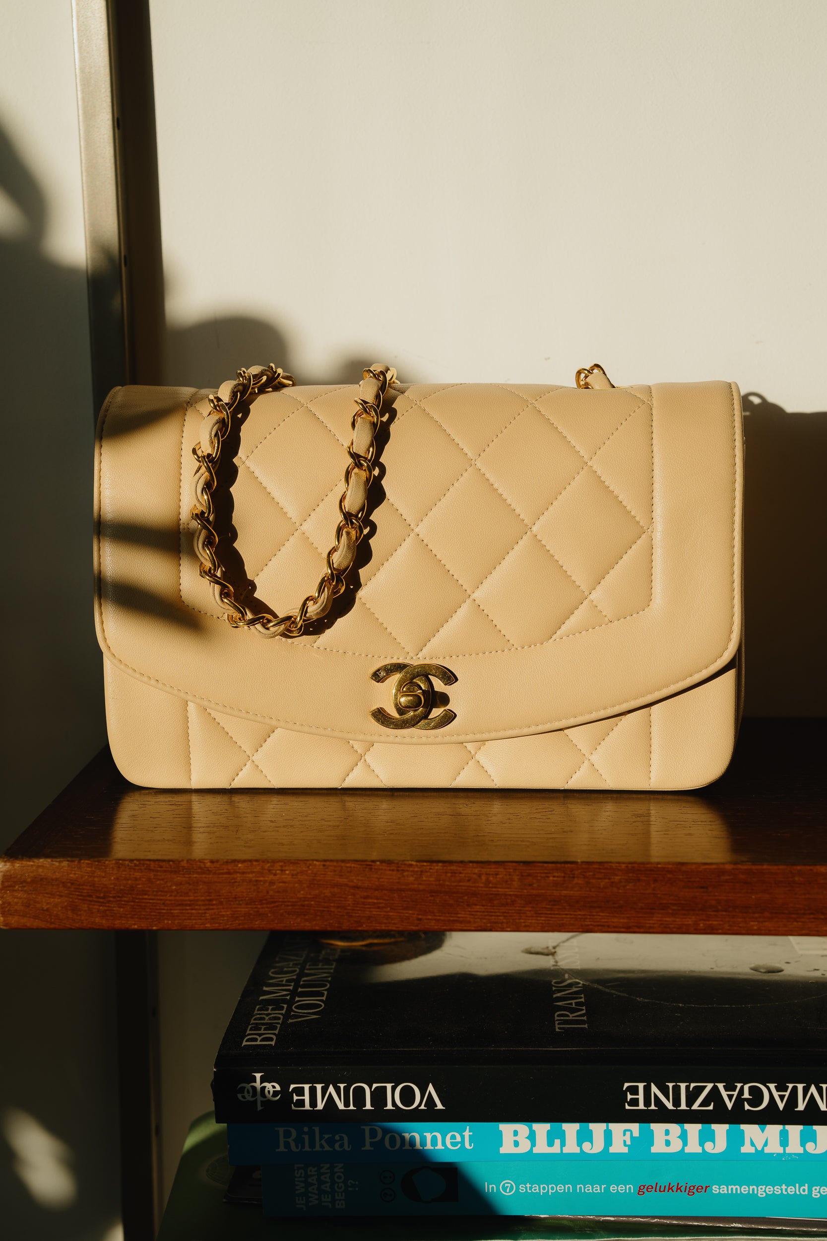Chanel Vintage Small Diana Bag 1994