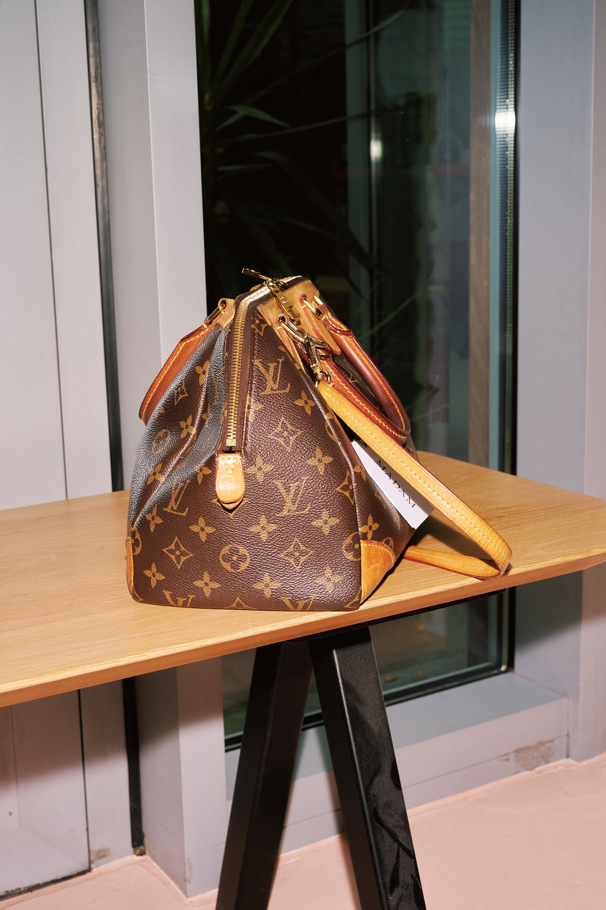 Louis Vuitton Ségur Monogram Bag