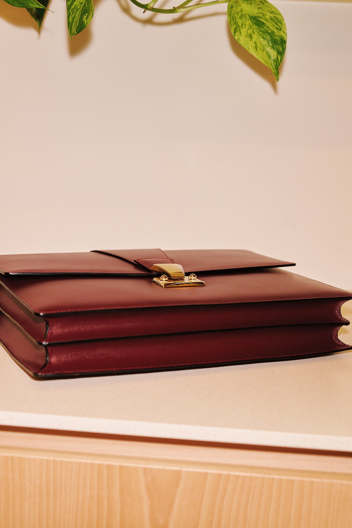 Cartier Briefcase