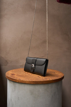 Delvaux Brillant Black Long Wallet On Chain