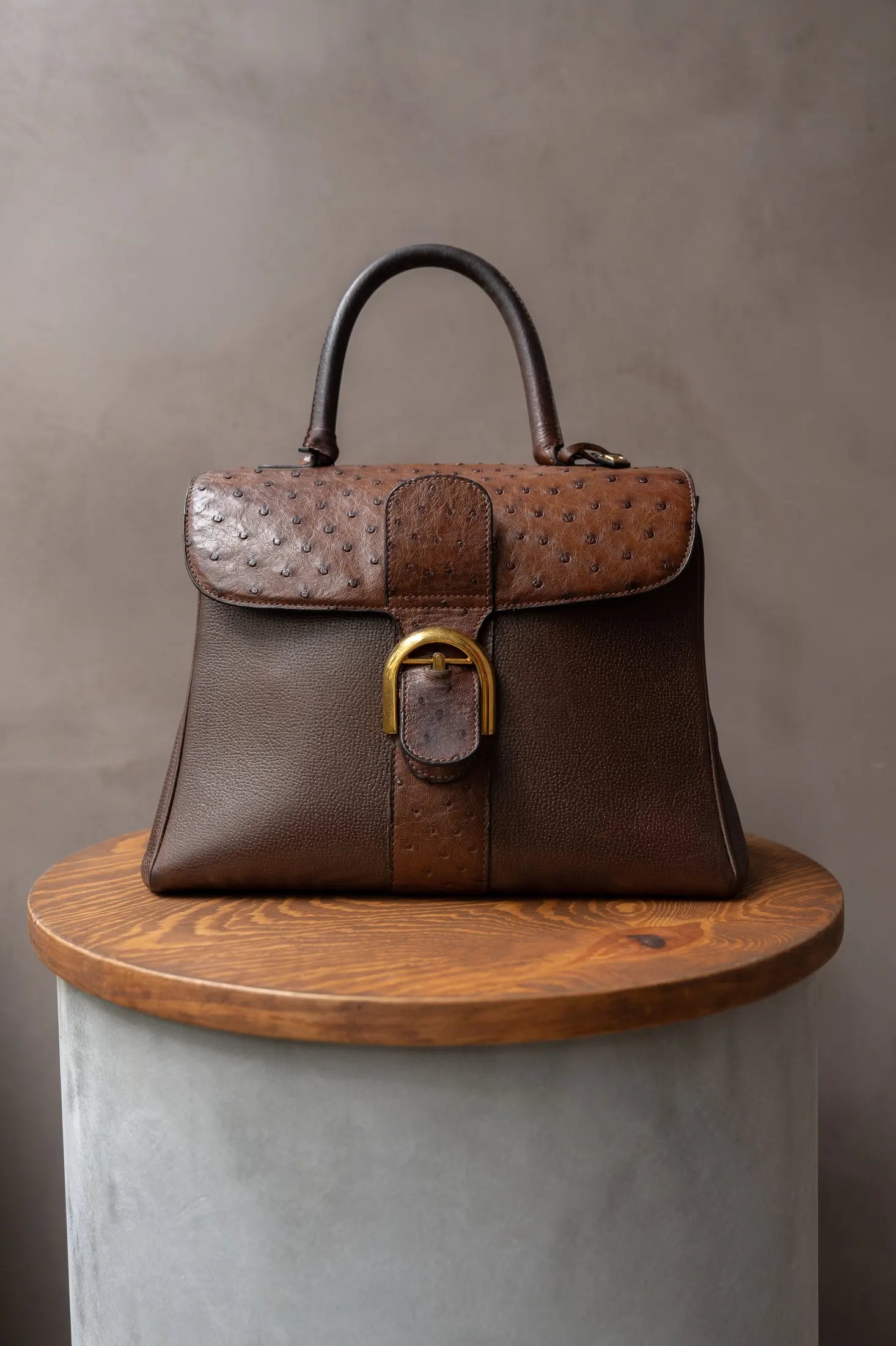 Delvaux Brillant Brown Ostrich MM Bag