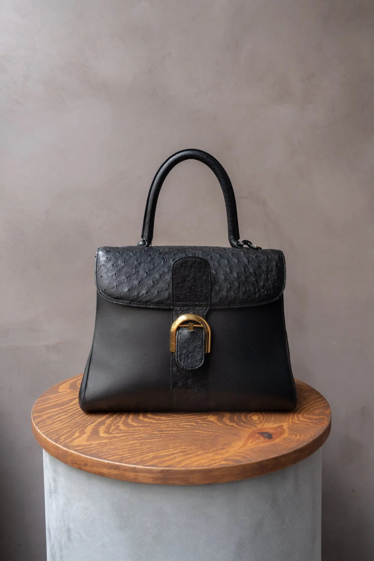 Brillant Delvaux Handbags