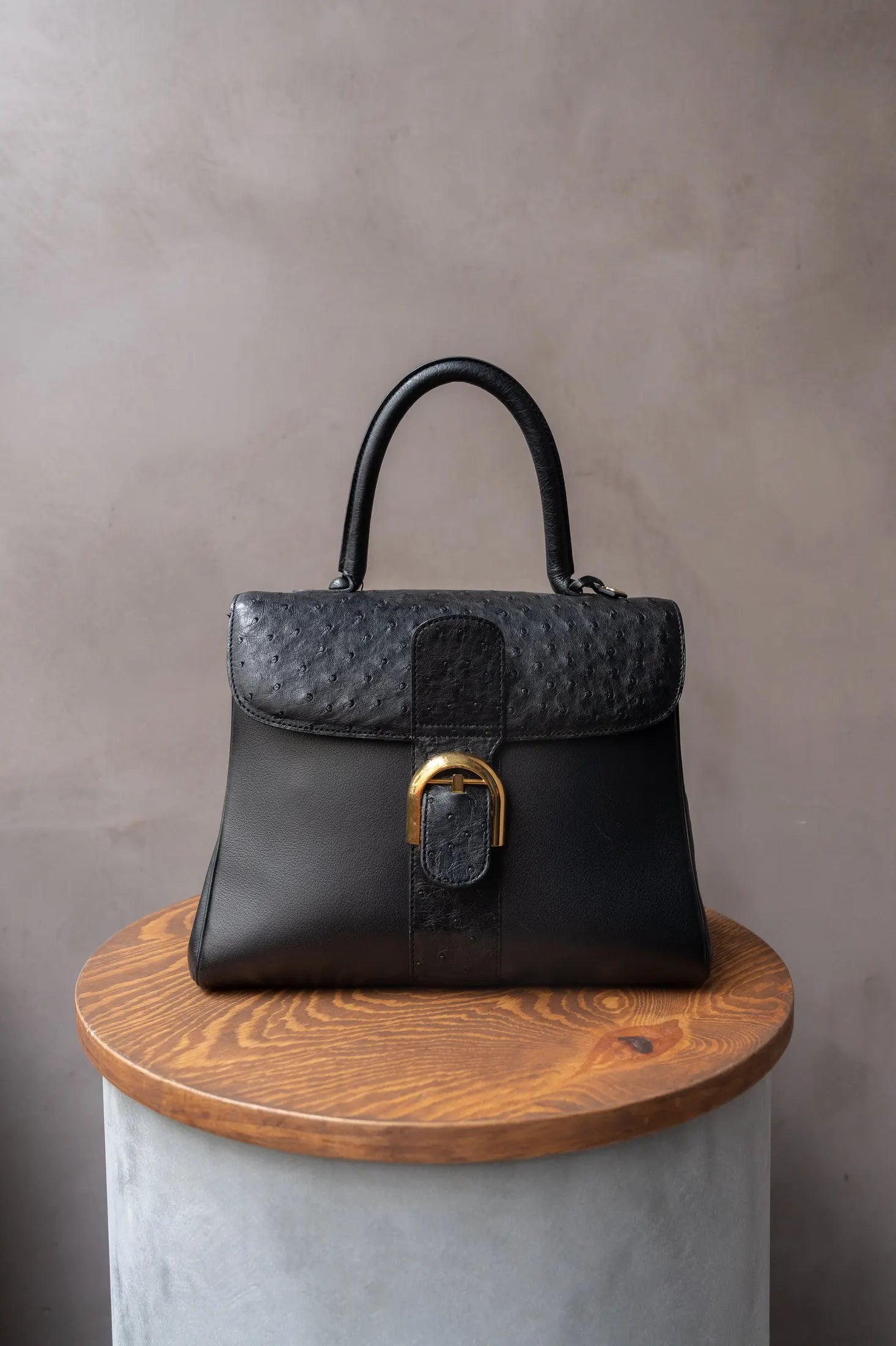 Delvaux Brillant MM Black Ostrich Bag