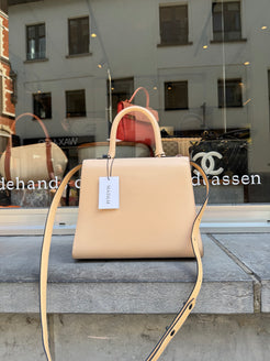 Delvaux Brillant MM Nude