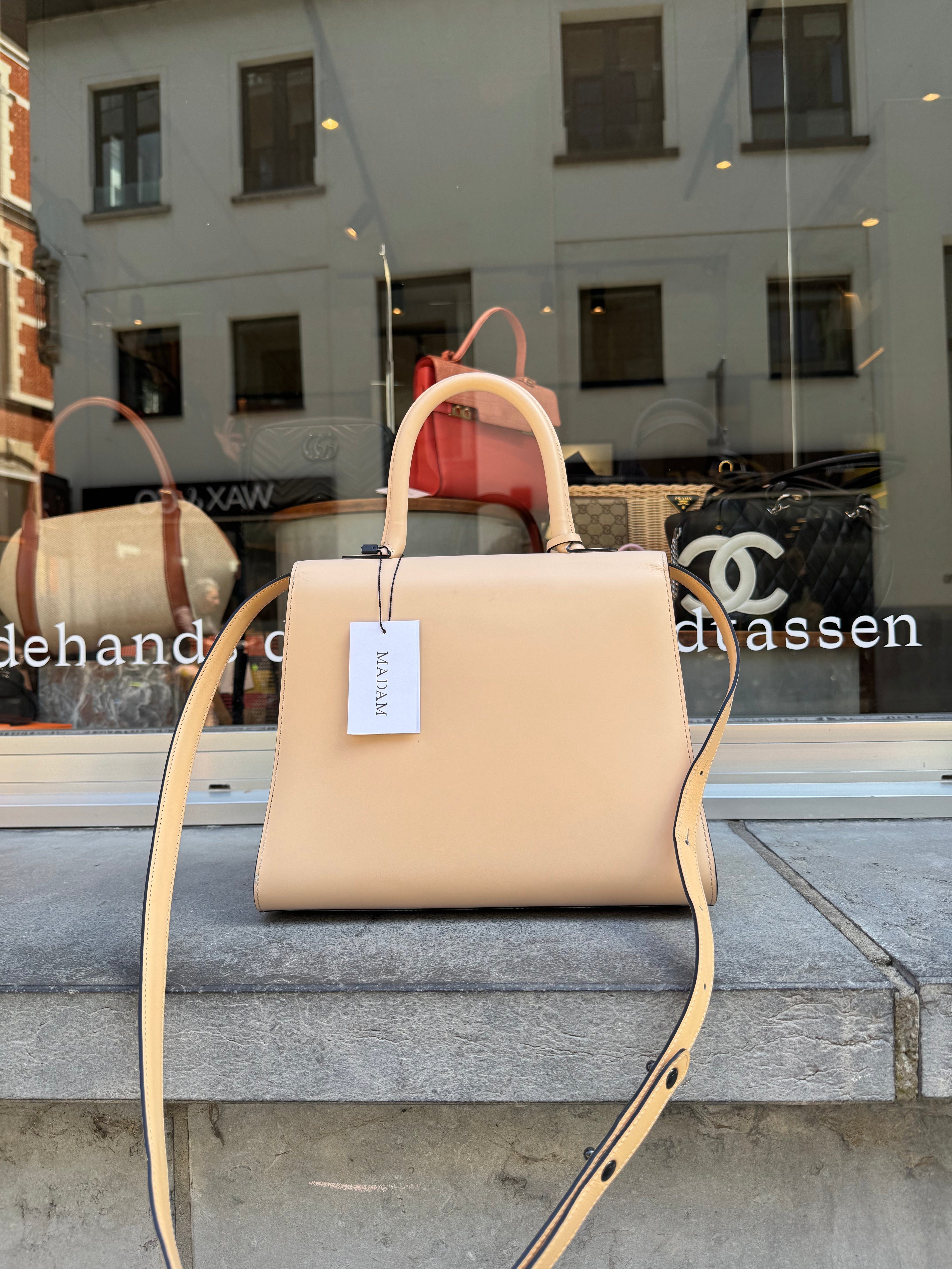 Delvaux Brillant MM Nude