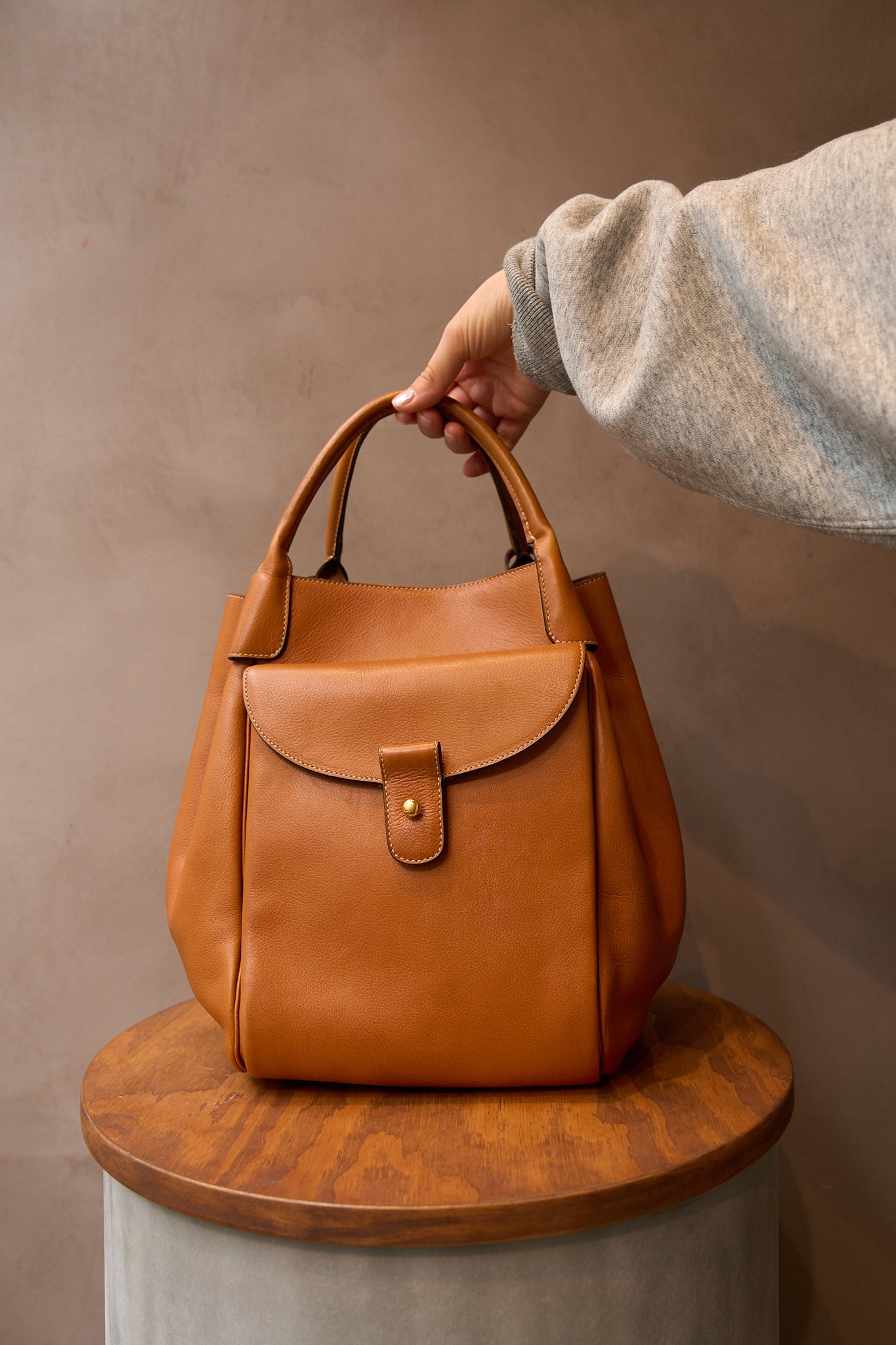 Delvaux Camel Equivoque Bag