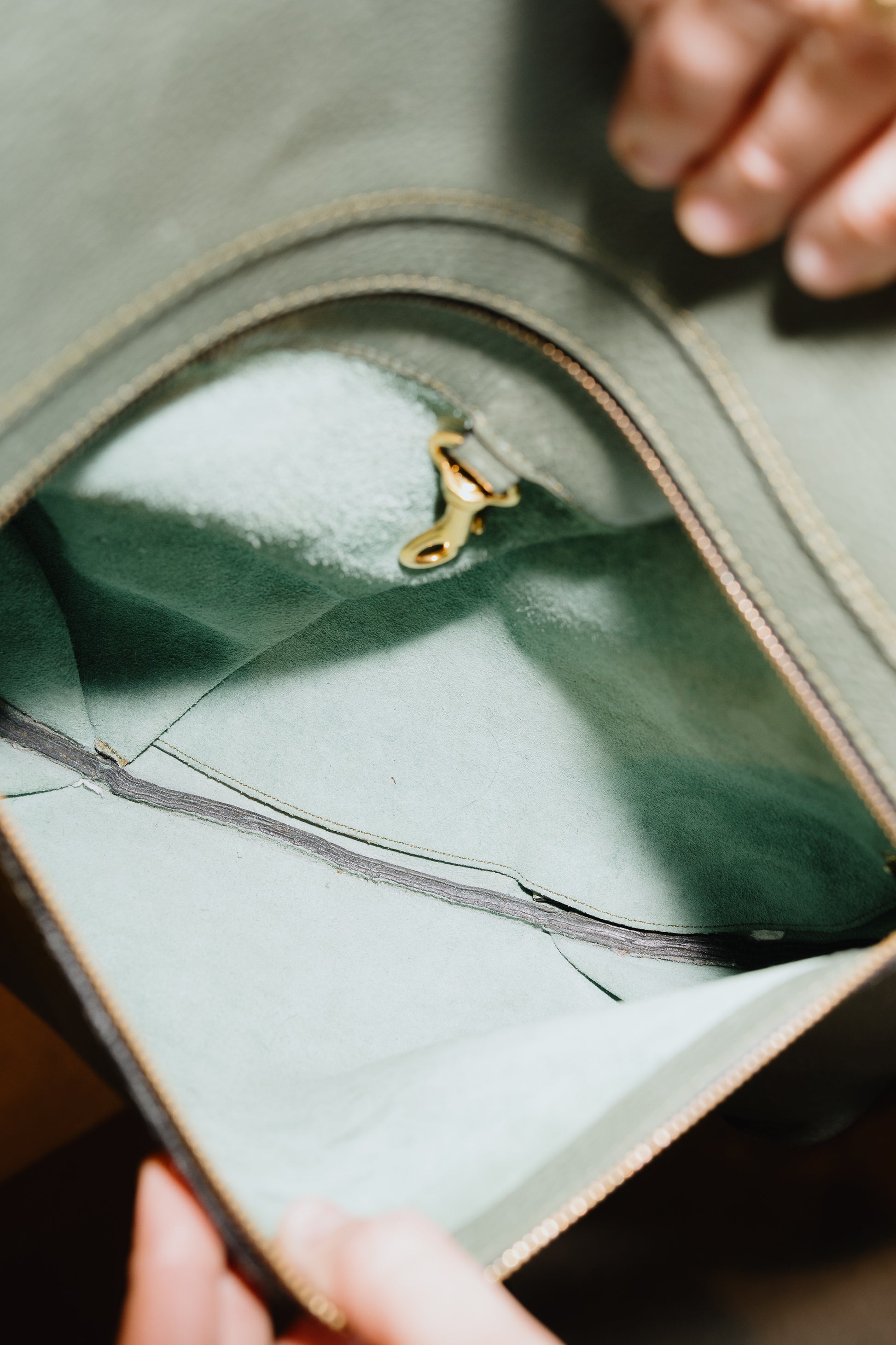 Delvaux Faust Shoulder Bag in Soft Green