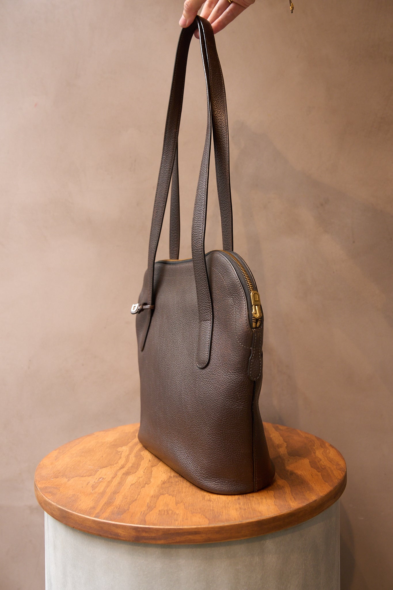 Delvaux Forest Doré Brown Shoulder Bag