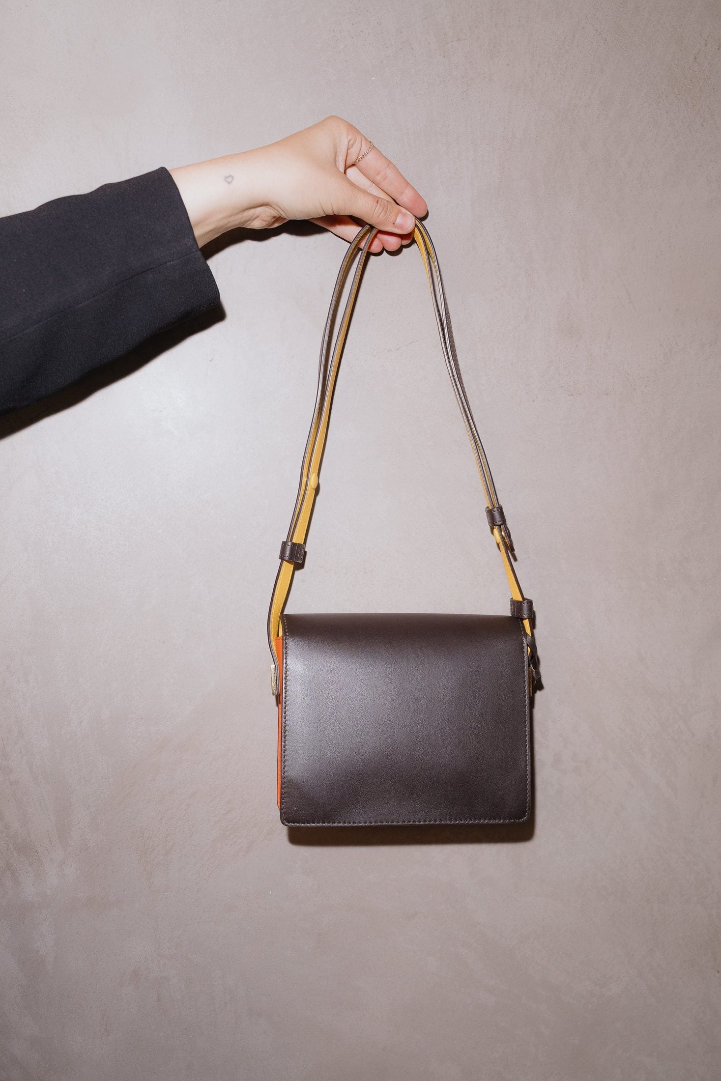 Delvaux Madame Mini Multicolor