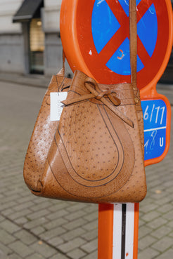 Delvaux Tabac Ostrich Desert Bag