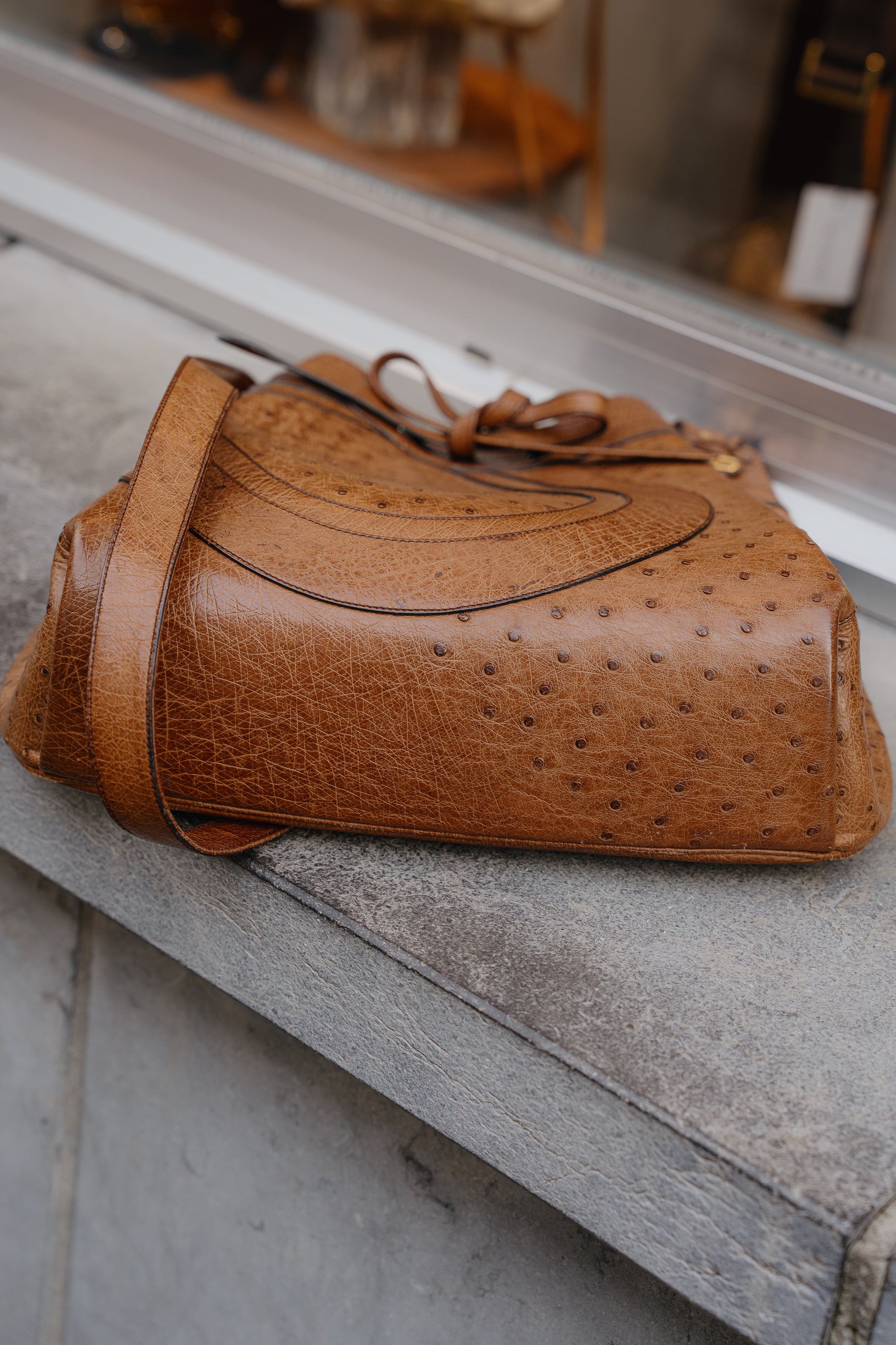 Delvaux Tabac Ostrich Desert Bag