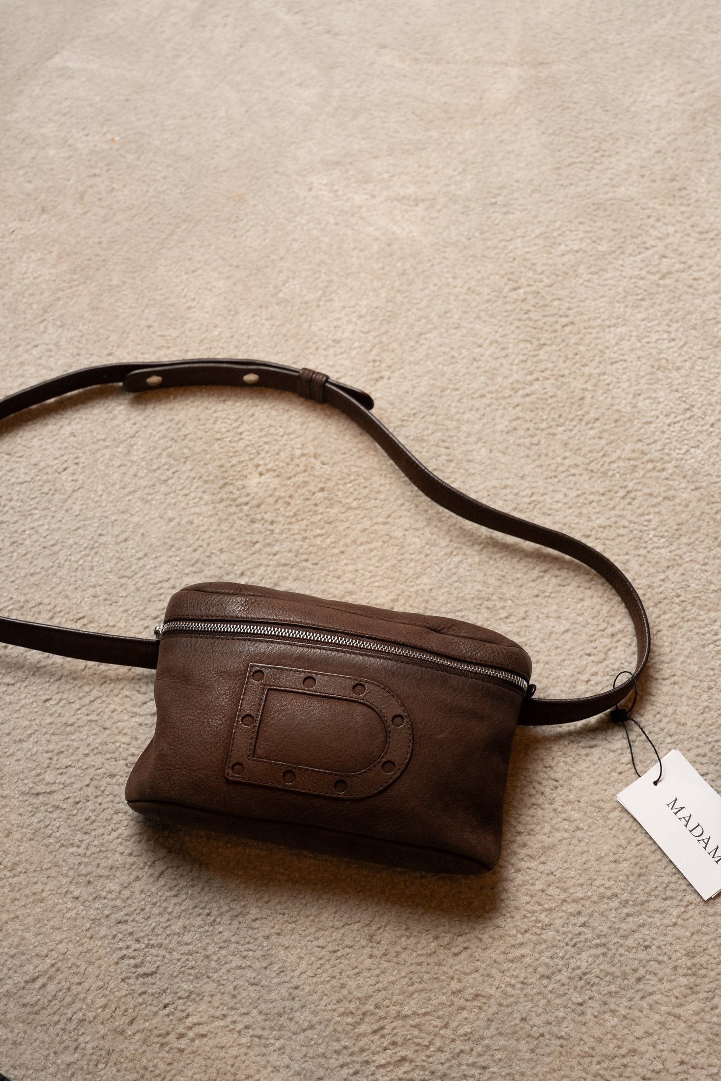 Delvaux Waist Bag in Dain