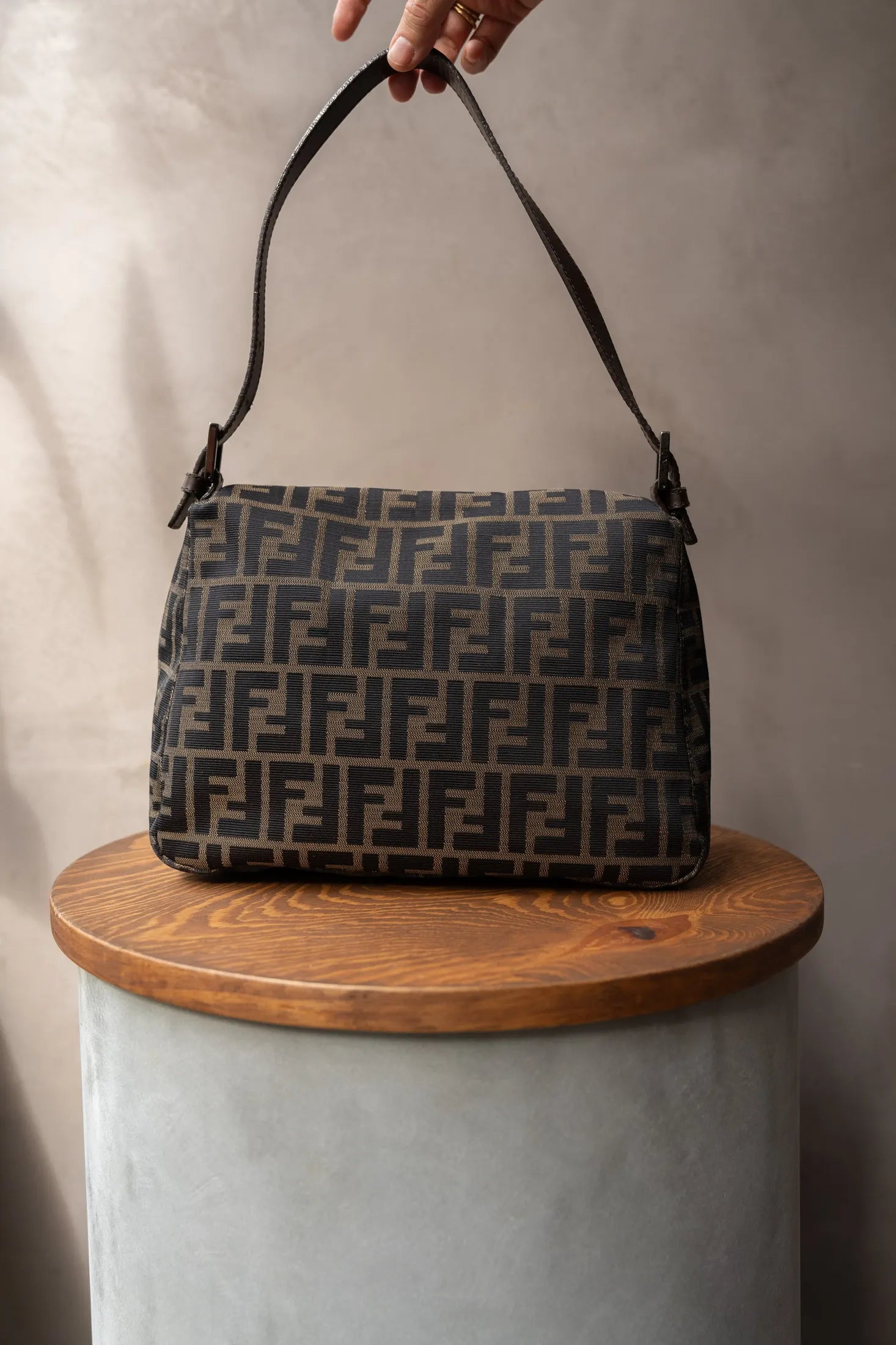 Fendi Zucca Bag