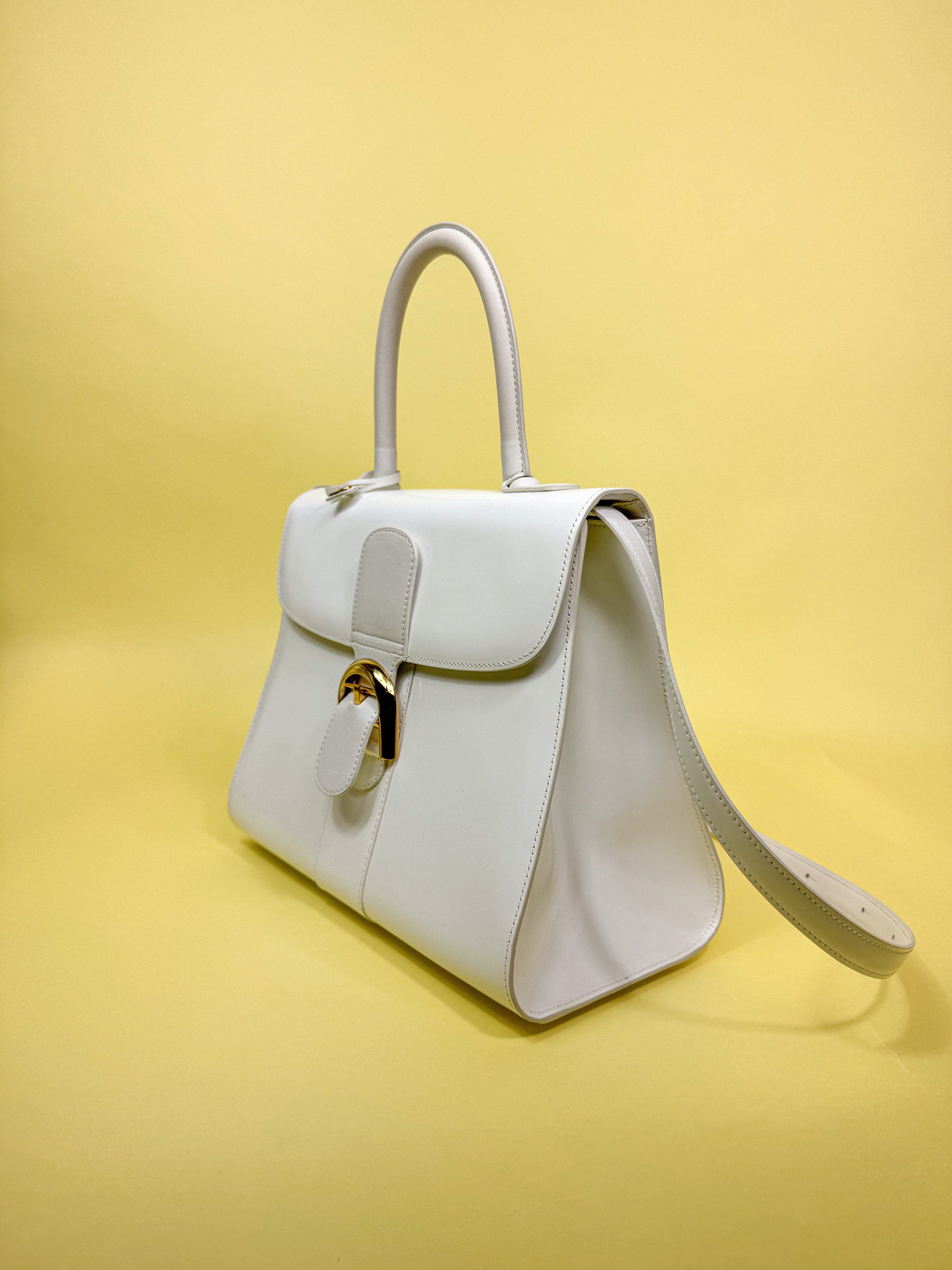 Delvaux Brillant MM Magic