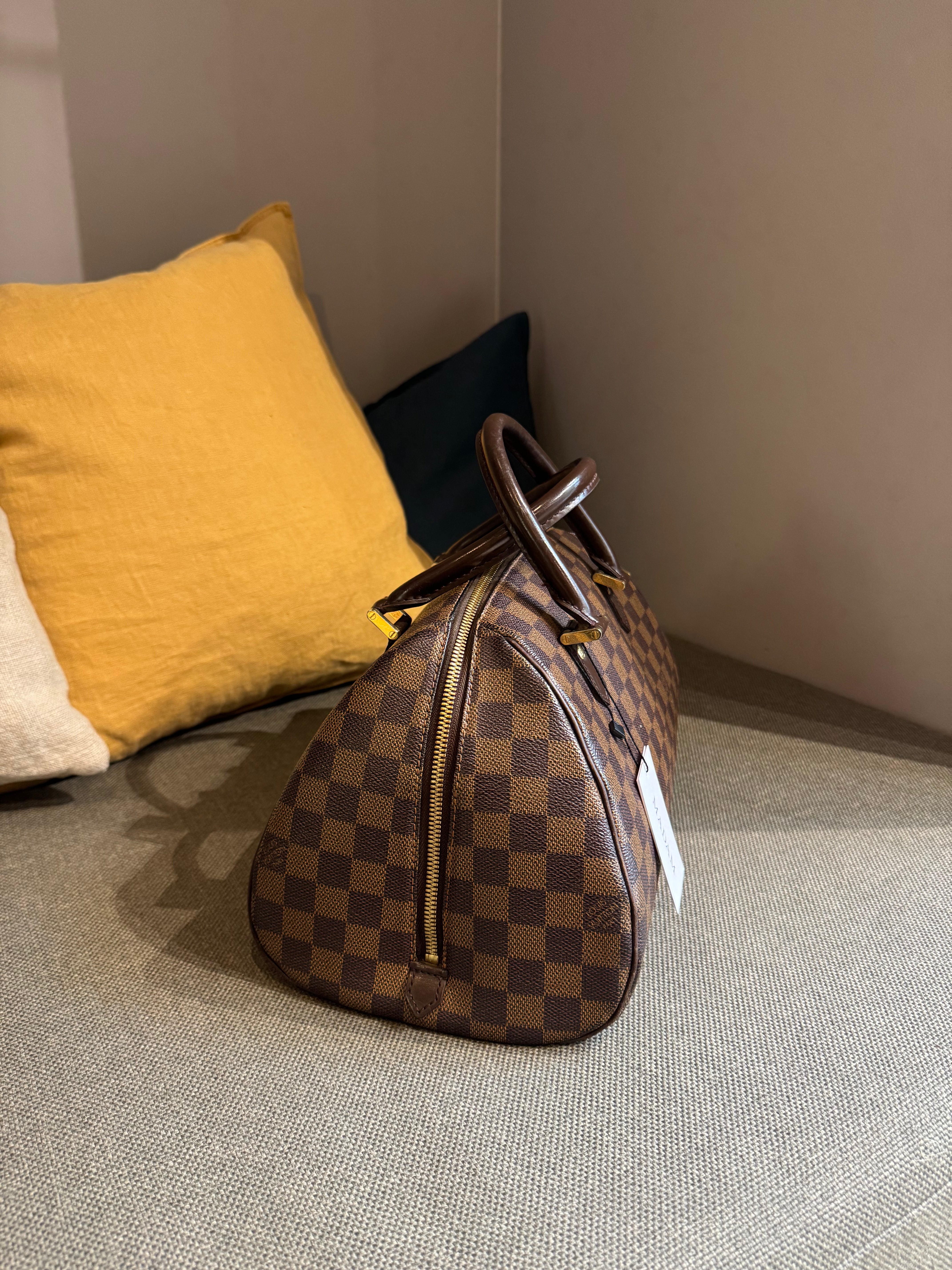 Louis Vuitton Ribera Damier Ebene
