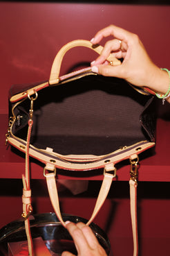 Louis Vuitton Brea MM Bag