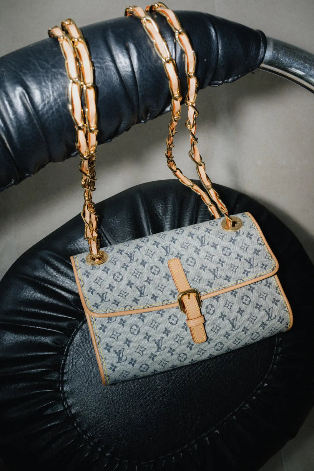 Louis Vuitton Camille Monogram Canvas Bag