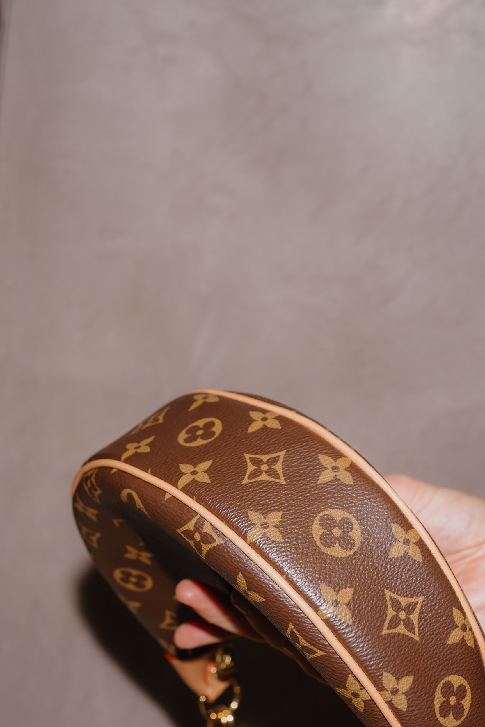 Louis Vuitton Loop Bag