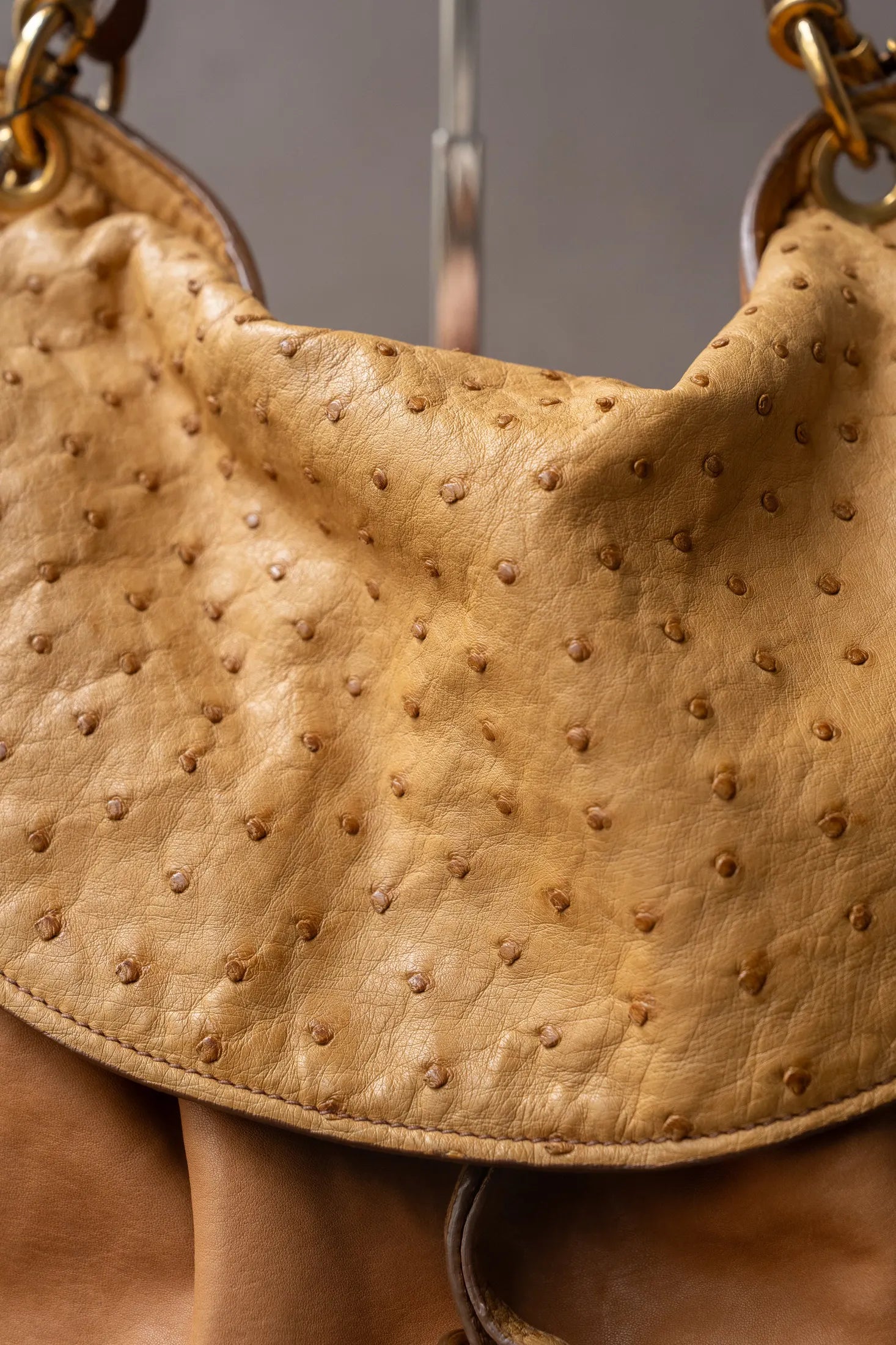 Miu Miu Camel Bag With Ostrich